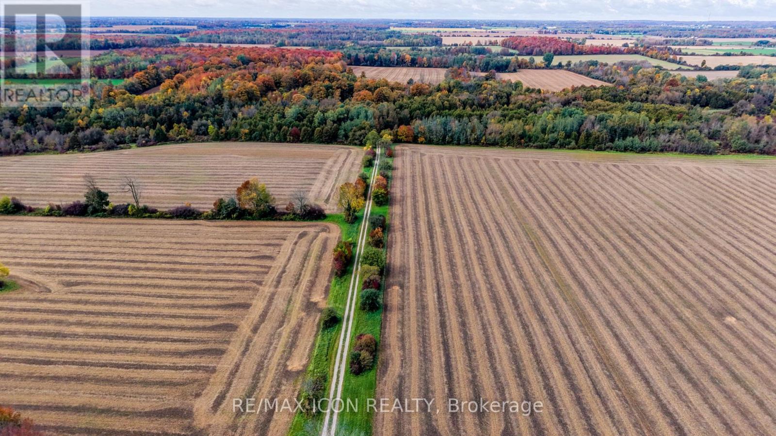 9562 Wellington Rd 16 Road, Wellington North, Ontario  N0G 1N0 - Photo 29 - X13859148