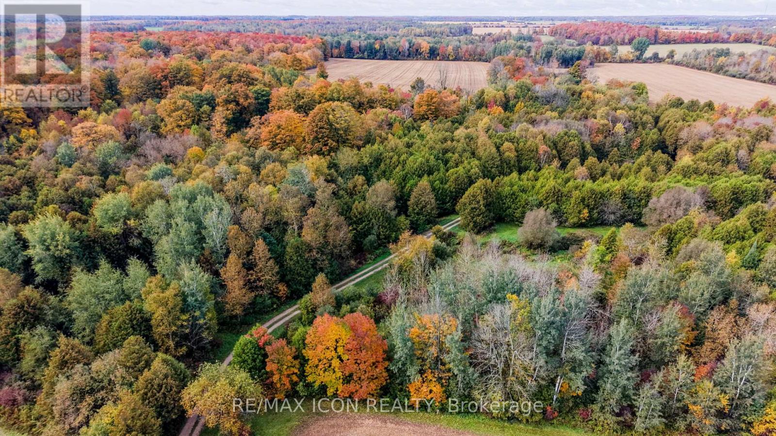 9562 Wellington Rd 16 Road, Wellington North, Ontario  N0G 1N0 - Photo 31 - X13859148