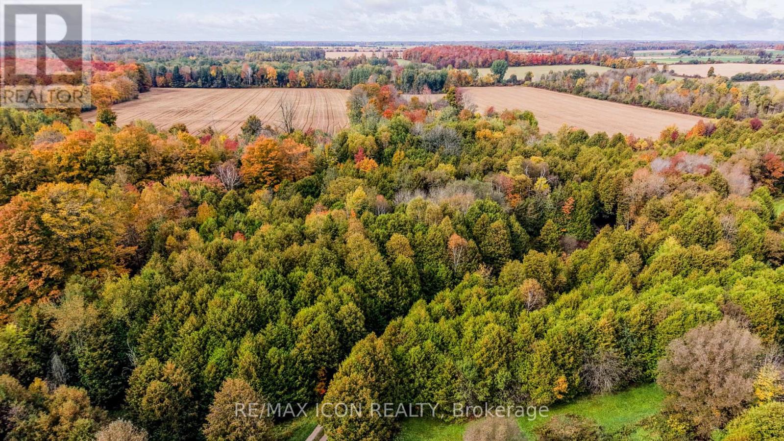 9562 Wellington Rd 16 Road, Wellington North, Ontario  N0G 1N0 - Photo 32 - X13859148