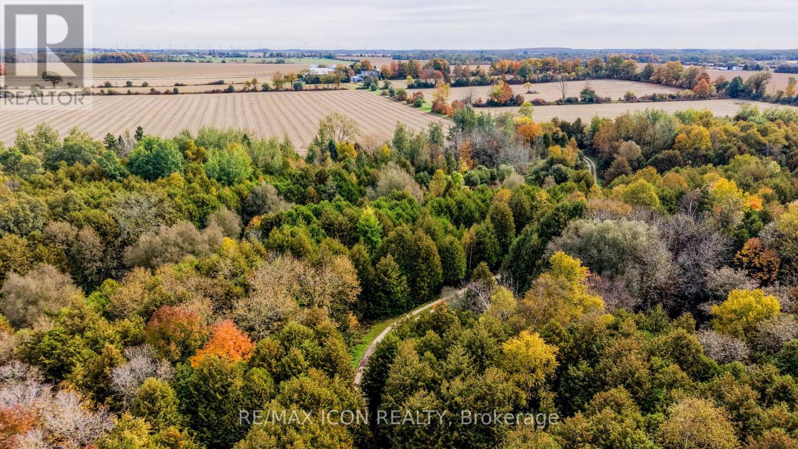 9562 Wellington Rd 16 Road, Wellington North, Ontario  N0G 1N0 - Photo 36 - X13859148