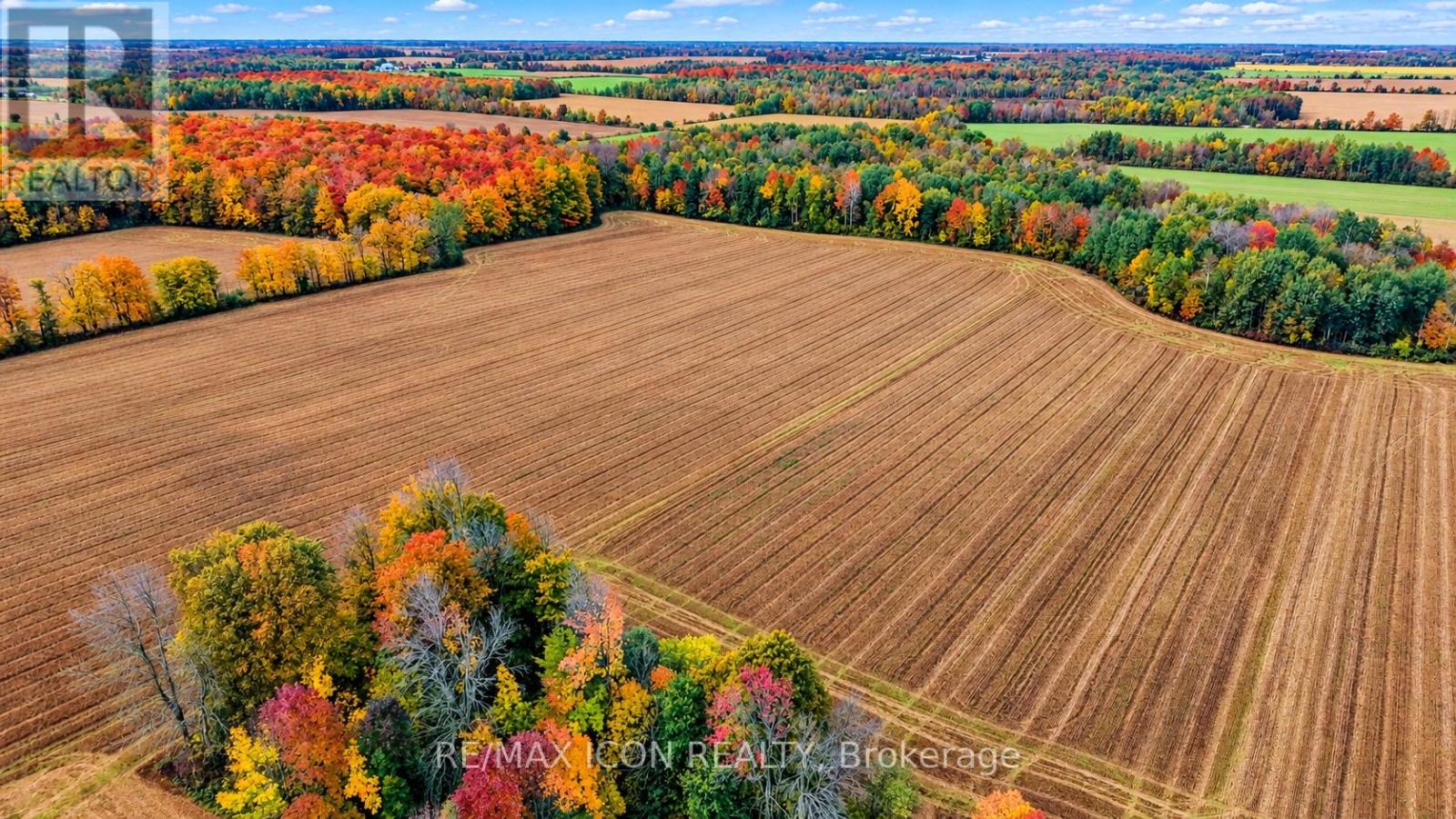 9562 Wellington Rd 16 Road, Wellington North, Ontario  N0G 1N0 - Photo 39 - X13859148