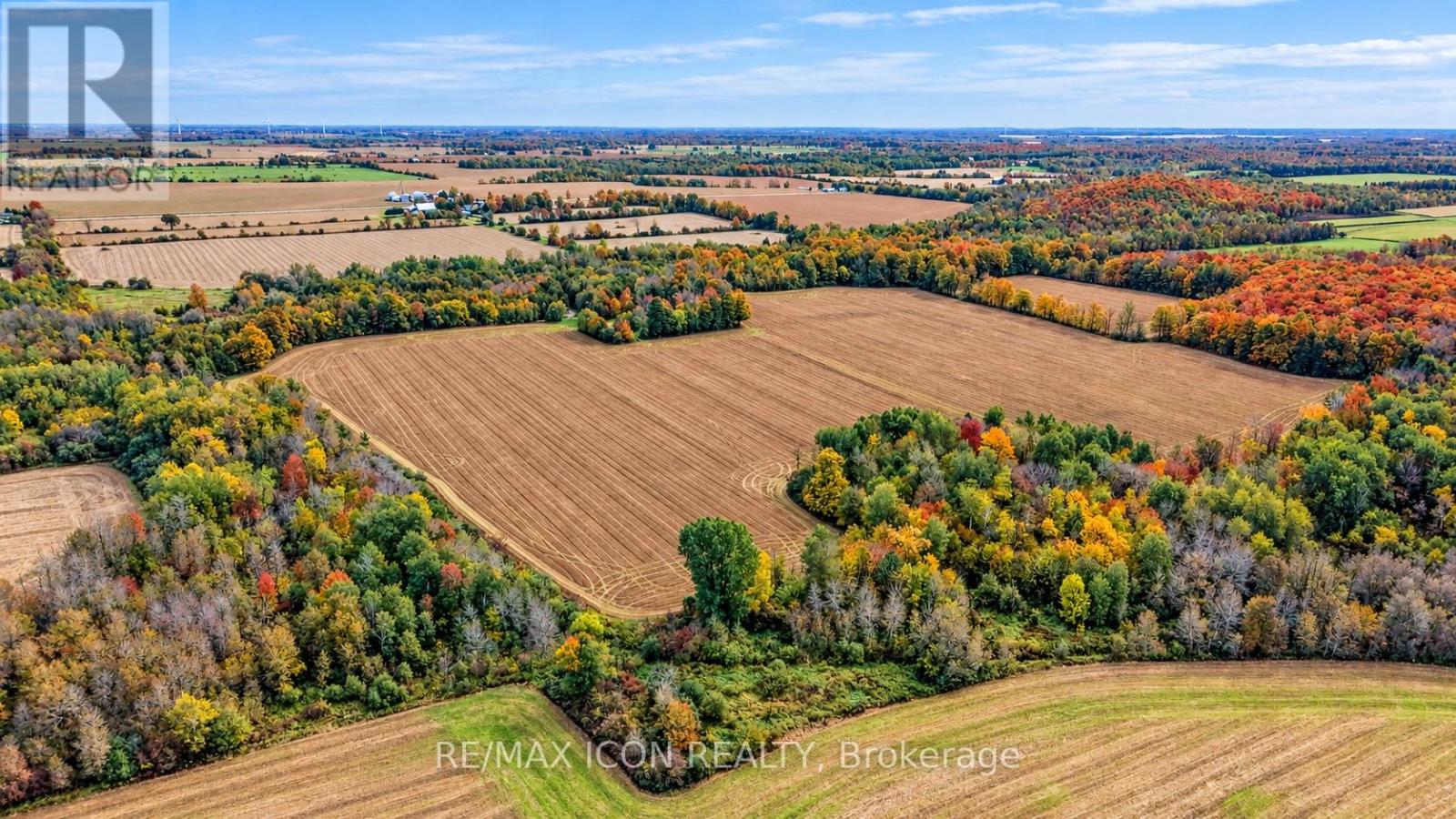9562 Wellington Rd 16 Road, Wellington North, Ontario  N0G 1N0 - Photo 41 - X13859148