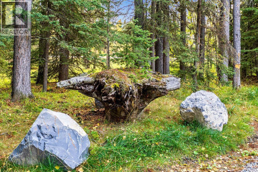 44 Elk Valley Grove, Rural Rocky View County, Alberta  T0L 0K0 - Photo 49 - A2349375