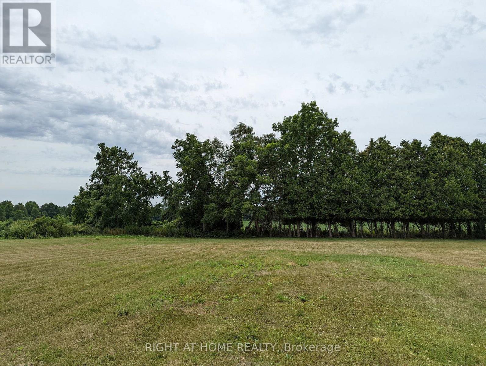392 Second Street, Strathroy-Caradoc, Ontario  N7G 3H8 - Photo 3 - X13859276