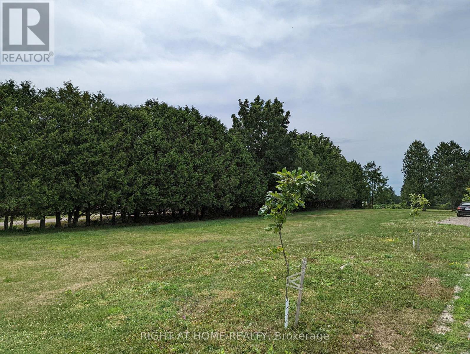 392 Second Street, Strathroy-Caradoc, Ontario  N7G 3H8 - Photo 5 - X13859276