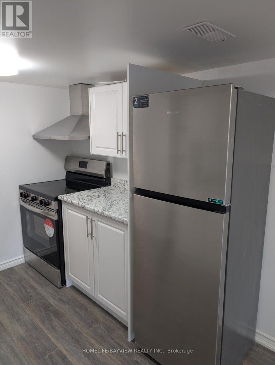 2150 Galloway (Basement) Street, Innisfil, Ontario  L9S 4B7 - Photo 19 - N13811366