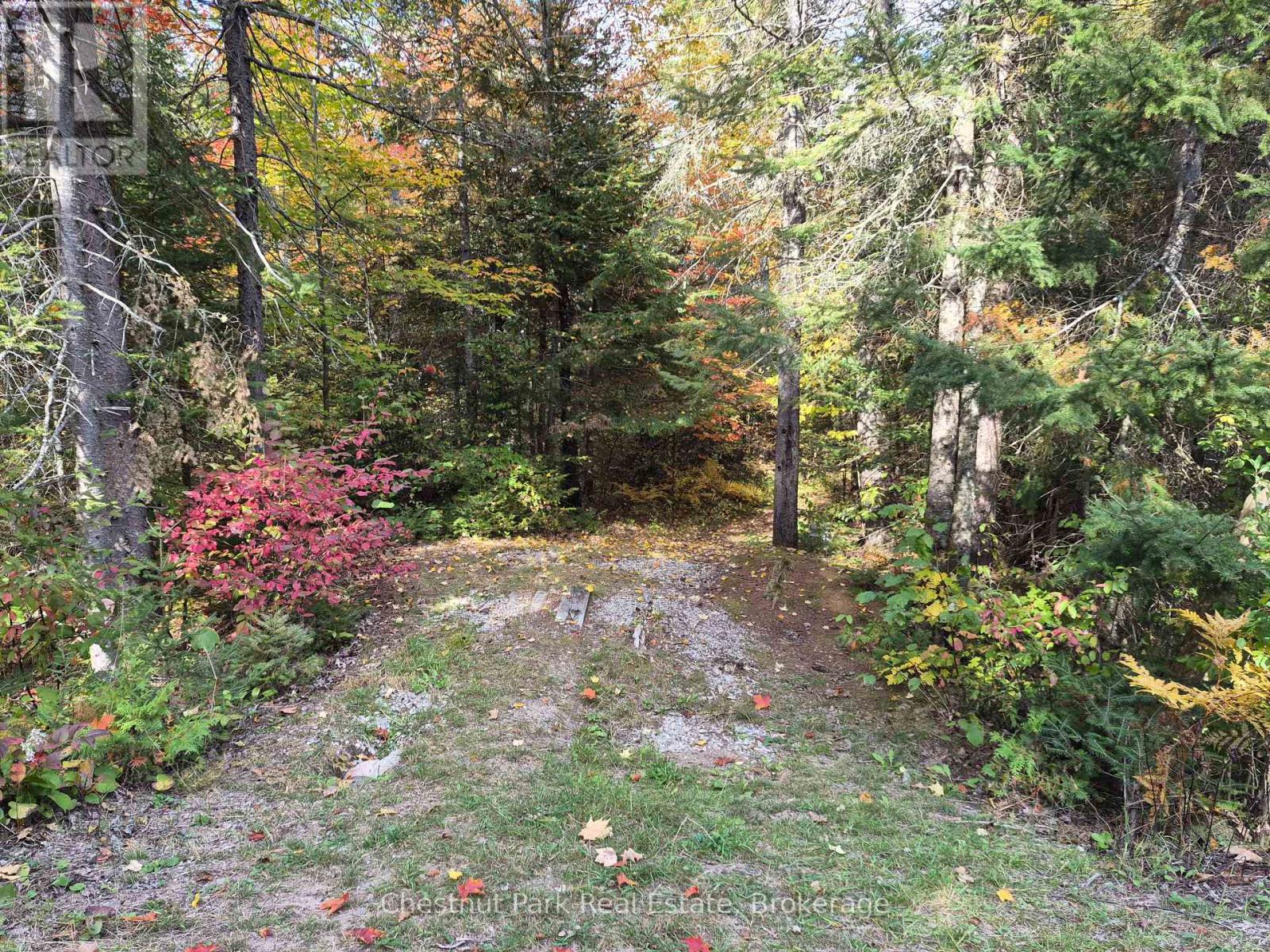 0 Rock Lake Road, Algonquin Highlands, Ontario  P0A 1J0 - Photo 30 - X13859338