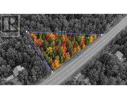 00 62 HIGHWAY, Hastings Highlands, Ontario