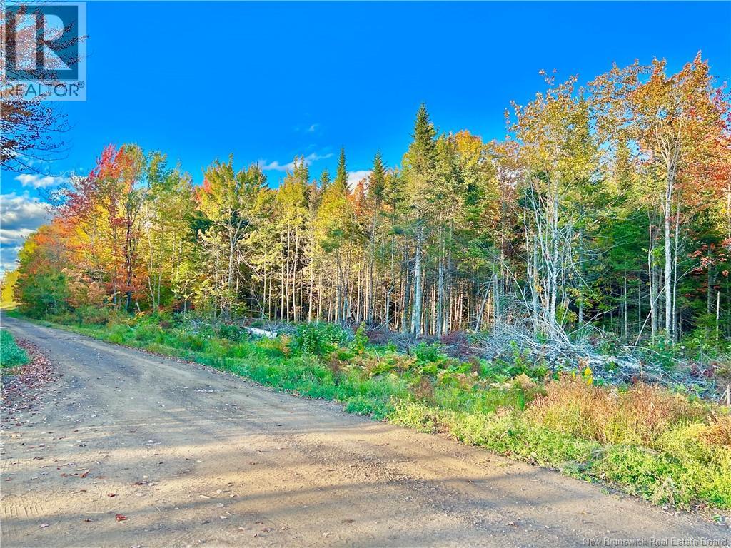 Lot 21-06 Haut Saint-Antoine Road, Saint-Antoine, New Brunswick  E4V 3B3 - Photo 5 - NB134221