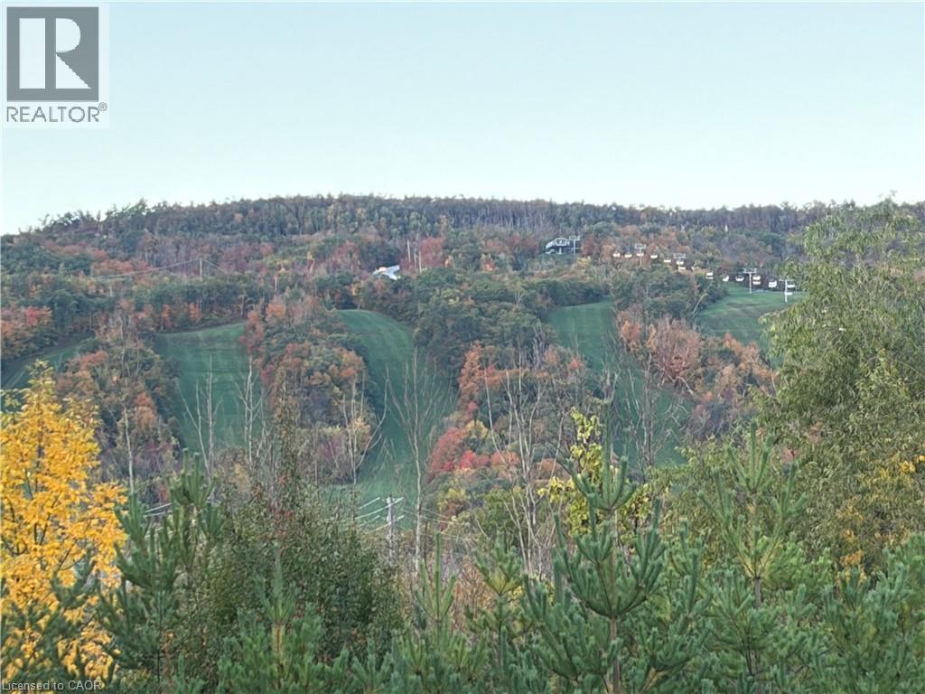 12 Beausoleil Lane Unit# 206, The Blue Mountains, Ontario  L9Y 2X5 - Photo 3 - 40867134