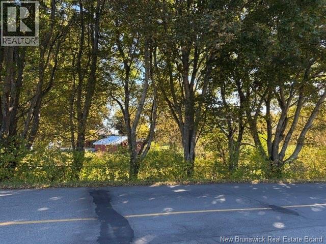1285 St Peter Avenue, Bathurst, New Brunswick  E2A 3A4 - Photo 9 - NB148917