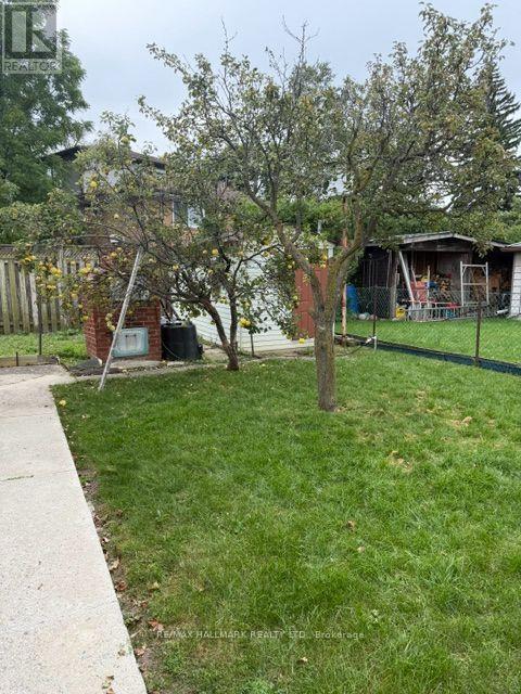 Basement - 9 Japonica Road, Toronto, Ontario  M1R 4R6 - Photo 12 - E13859606