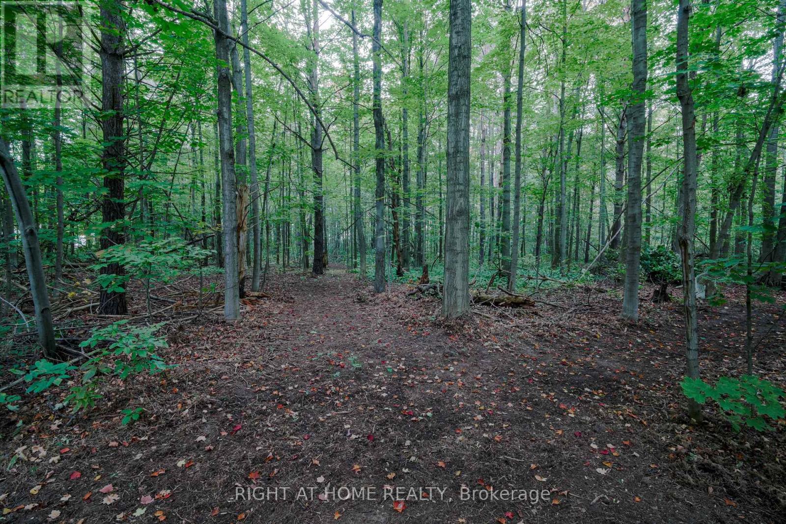 1602 County 92 Road, Springwater, Ontario  L0L 1P0 - Photo 38 - S13846106
