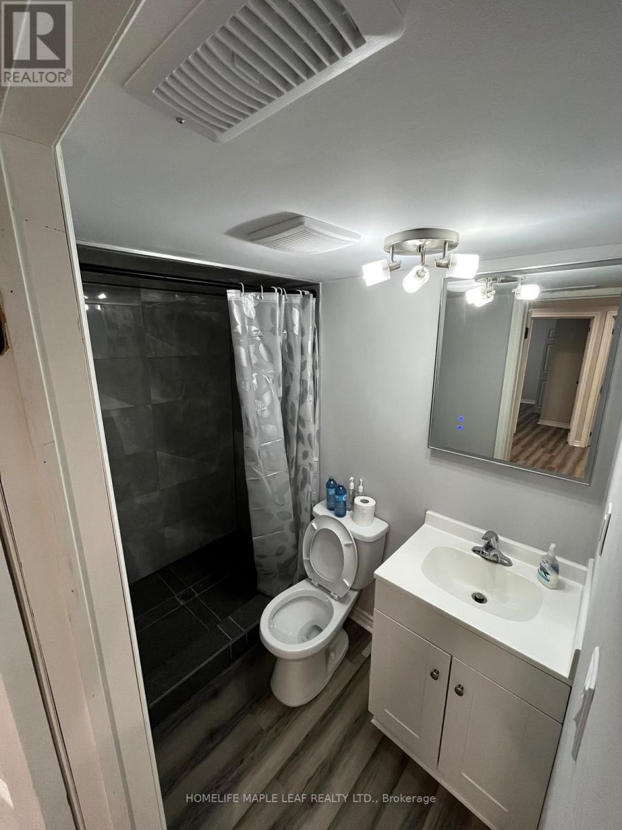 Bsmt - 96 Honey Street, Cambridge, Ontario  N1T 0C6 - Photo 4 - X13859832