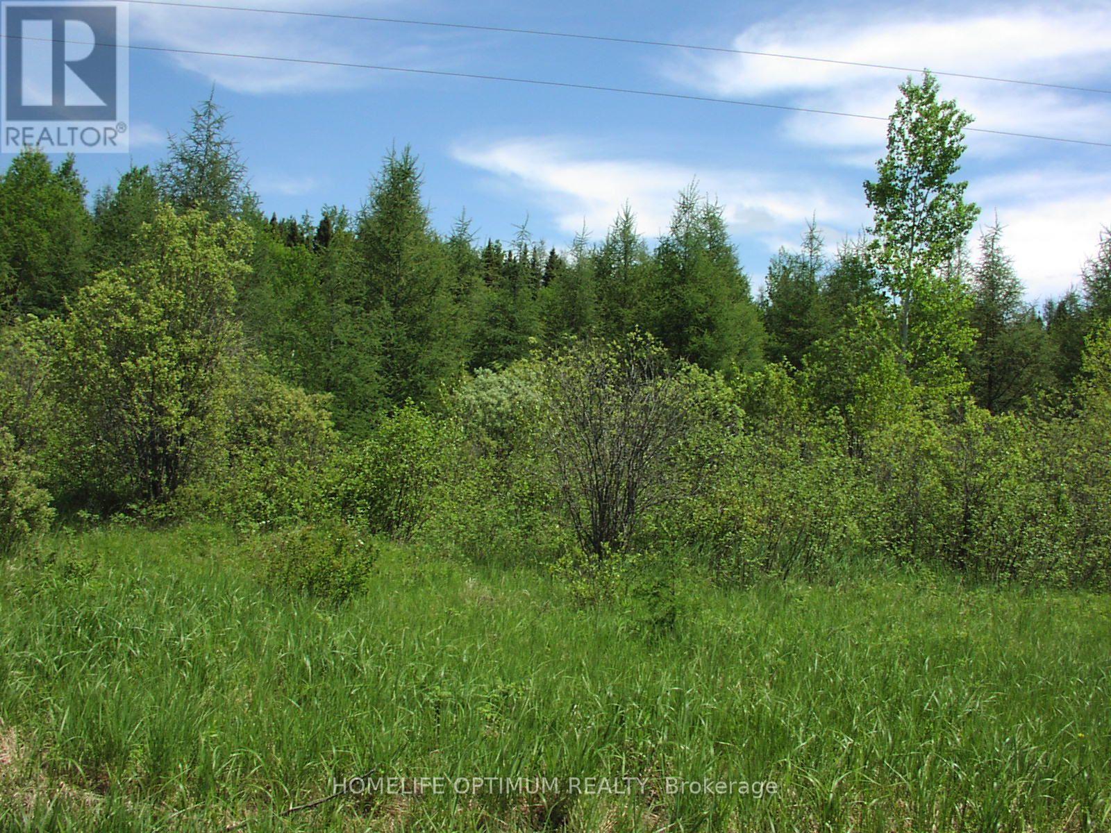 Parcel 4217 Williamson Township, Val Rita-Harty, Ontario  P0L 2G0 - Photo 3 - T13859866