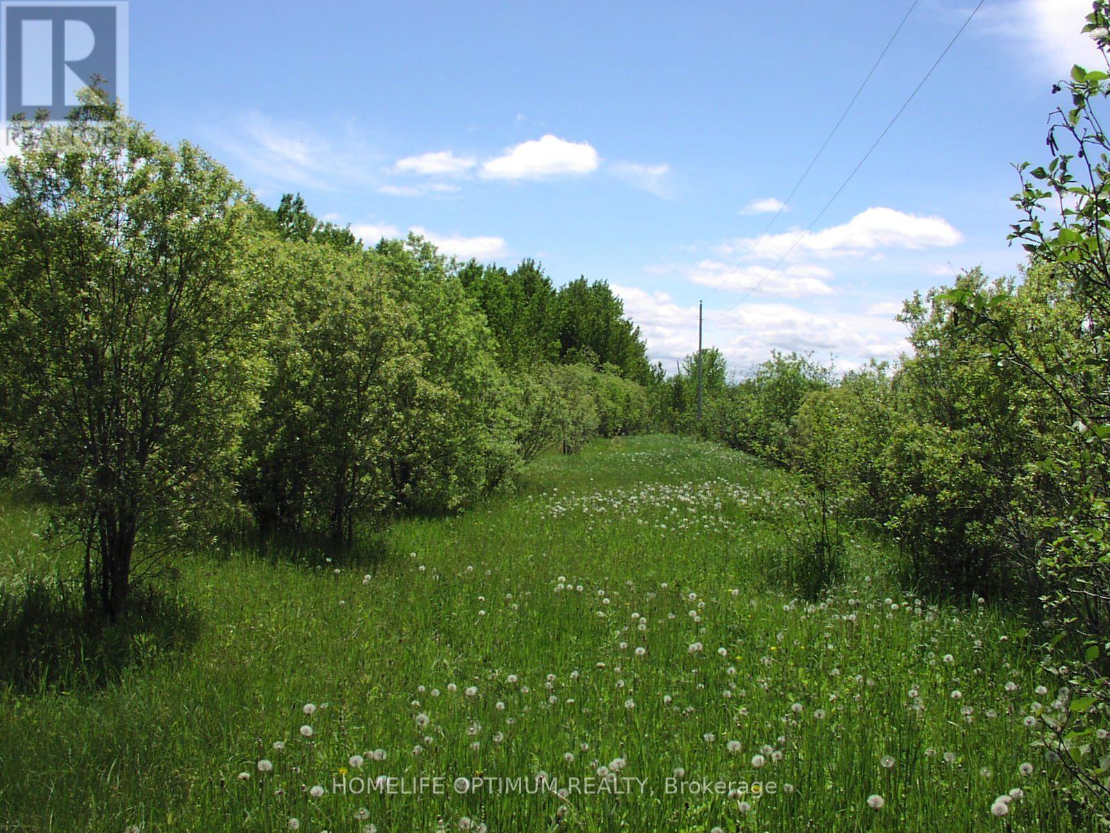 Parcel 4217 Williamson Township, Val Rita-Harty, Ontario  P0L 2G0 - Photo 6 - T13859866