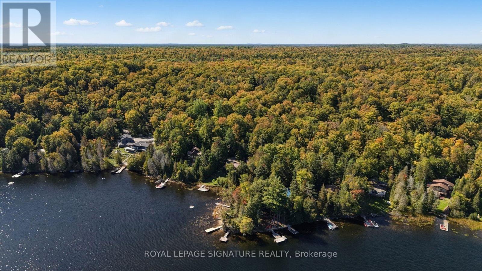 1221 Hand Drive, Highlands East, Ontario  K0M 1X0 - Photo 14 - X13859884