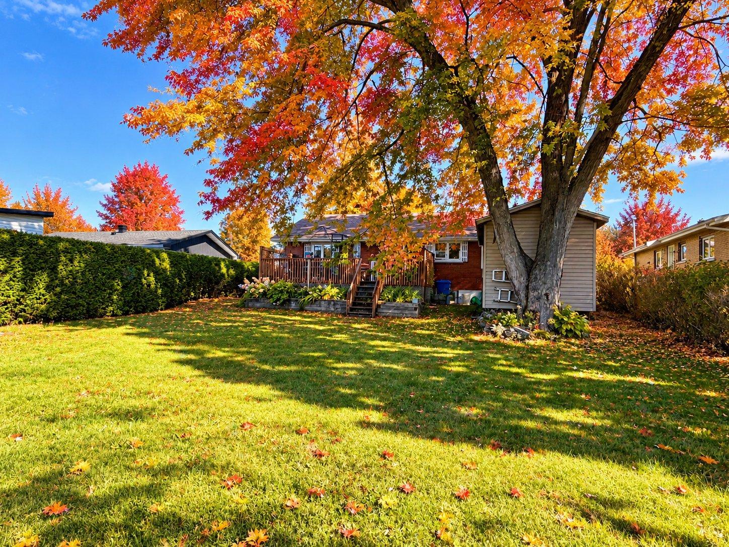 218 Rue La Salle Cowansville Quebec Canada J2K2V1 3