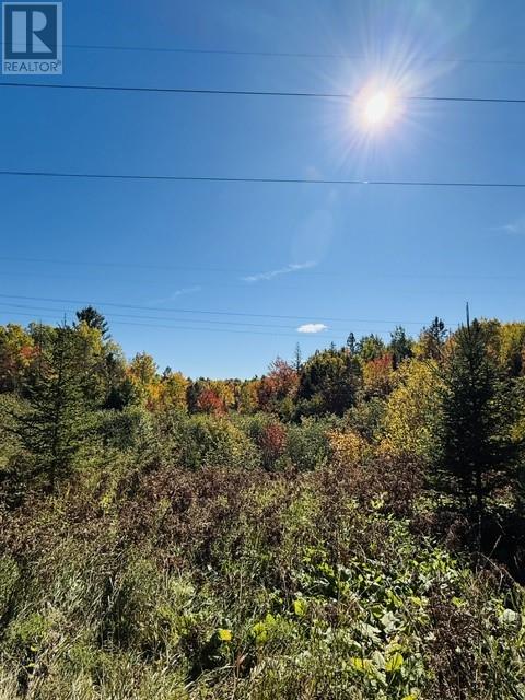N/a Hwy 17/beckerton Shooting Range Rd, Spanish, Ontario  P0P 2A0 - Photo 53 - 2129762