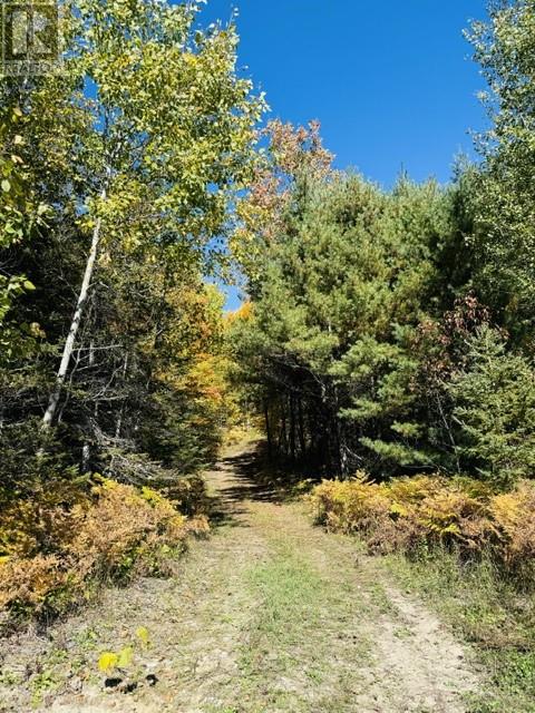 N/a Hwy 17/beckerton Shooting Range Rd, Spanish, Ontario  P0P 2A0 - Photo 55 - 2129762