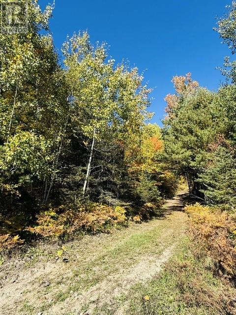 N/a Hwy 17/beckerton Shooting Range Rd, Spanish, Ontario  P0P 2A0 - Photo 74 - 2129762