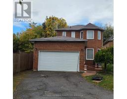 BASEMENT - 18 KILLARNEY COURT, Brampton, Ontario
