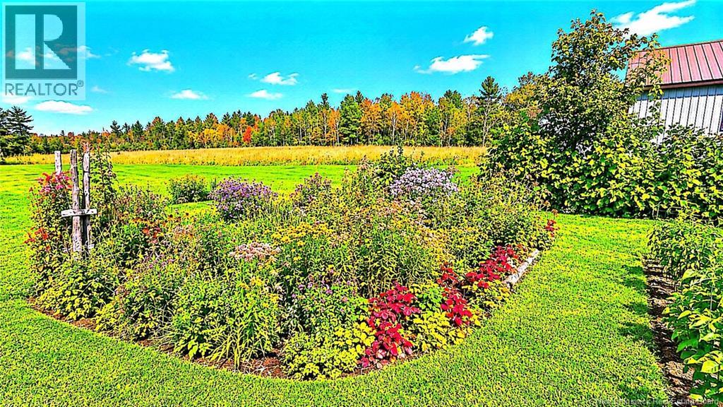482 Ch Tilley Road, Tilley Road, New Brunswick  E8M 1R4 - Photo 36 - NB148147