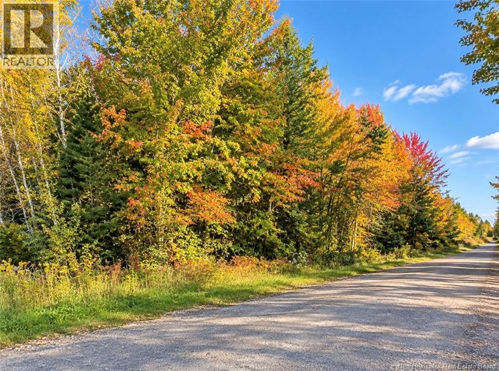 Lot 21-05 Haut St Antoine Road, Haut-Saint-Antoine, New Brunswick  E4V 3B3 - Photo 2 - NB134222