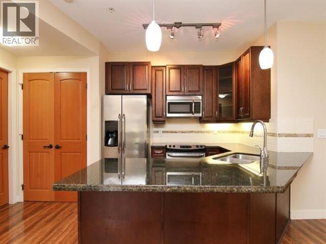 217 11935 Burnett Street, Maple Ridge, British Columbia  V2X 9A9 - Photo 3 - R3172174