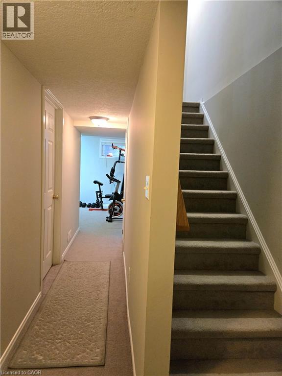 286 Sophia Crescent, Kitchener, Ontario  N2R 1X9 - Photo 29 - 40866989