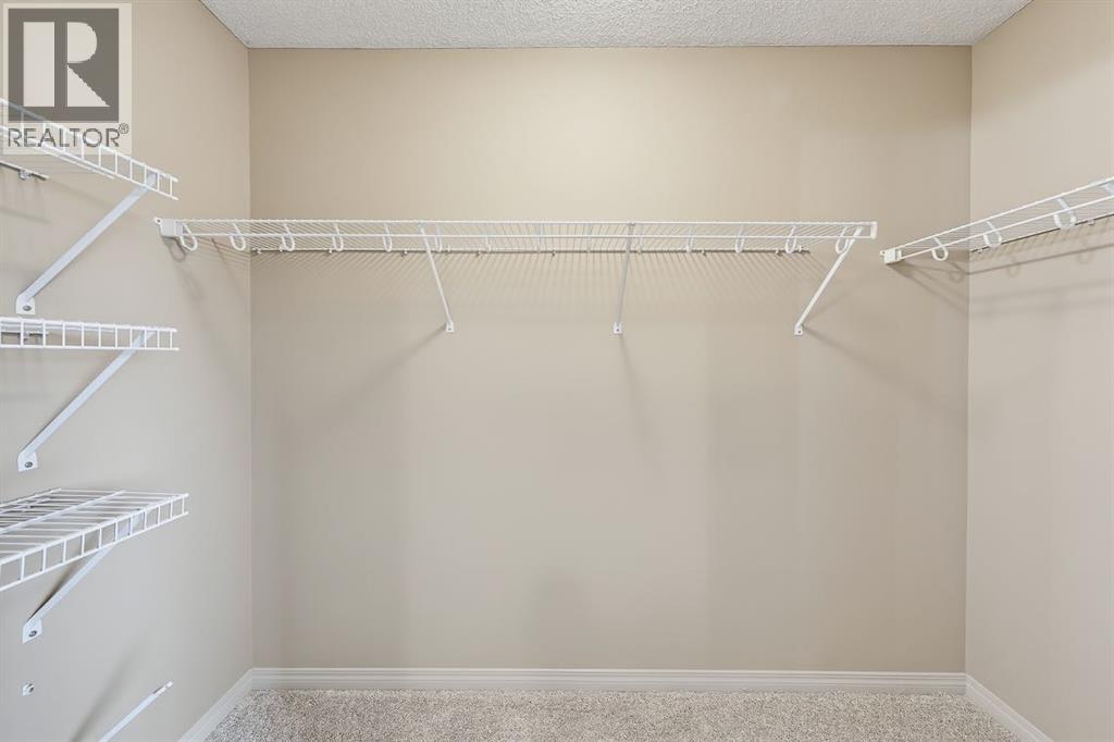 151 Copperfield Common Se, Calgary, Alberta  T2Z 4W9 - Photo 21 - A2350220