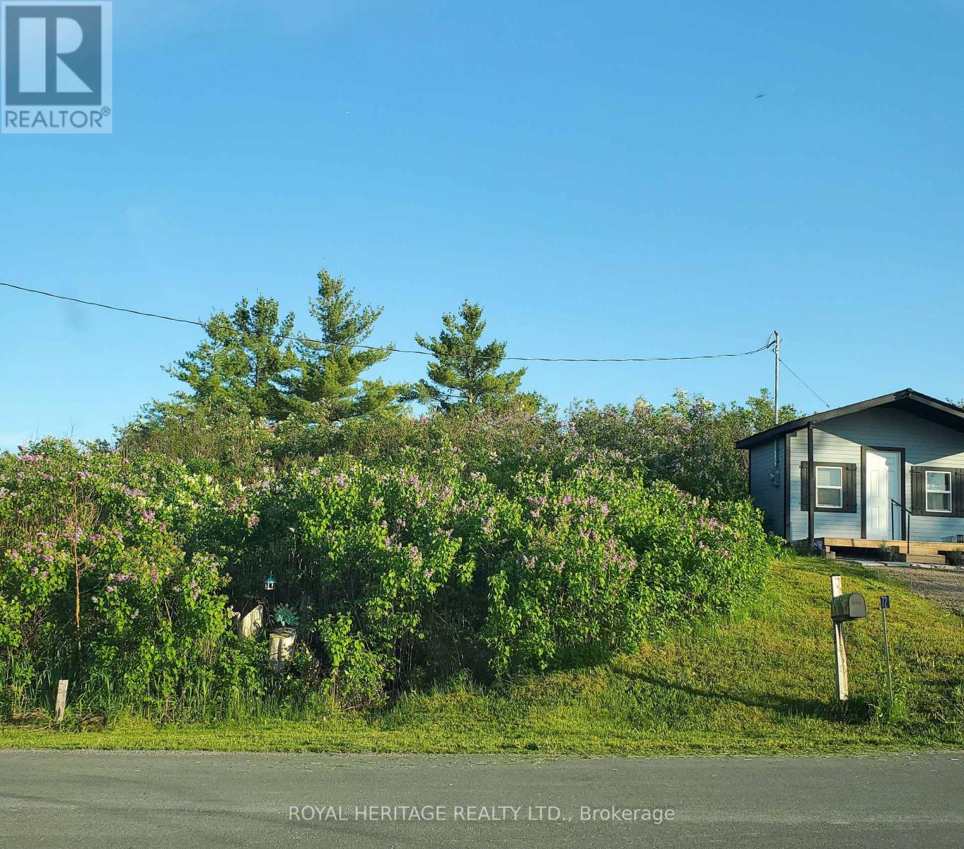 72 Store Street, Tweed, Ontario  K0K 3J0 - Photo 4 - X13860360