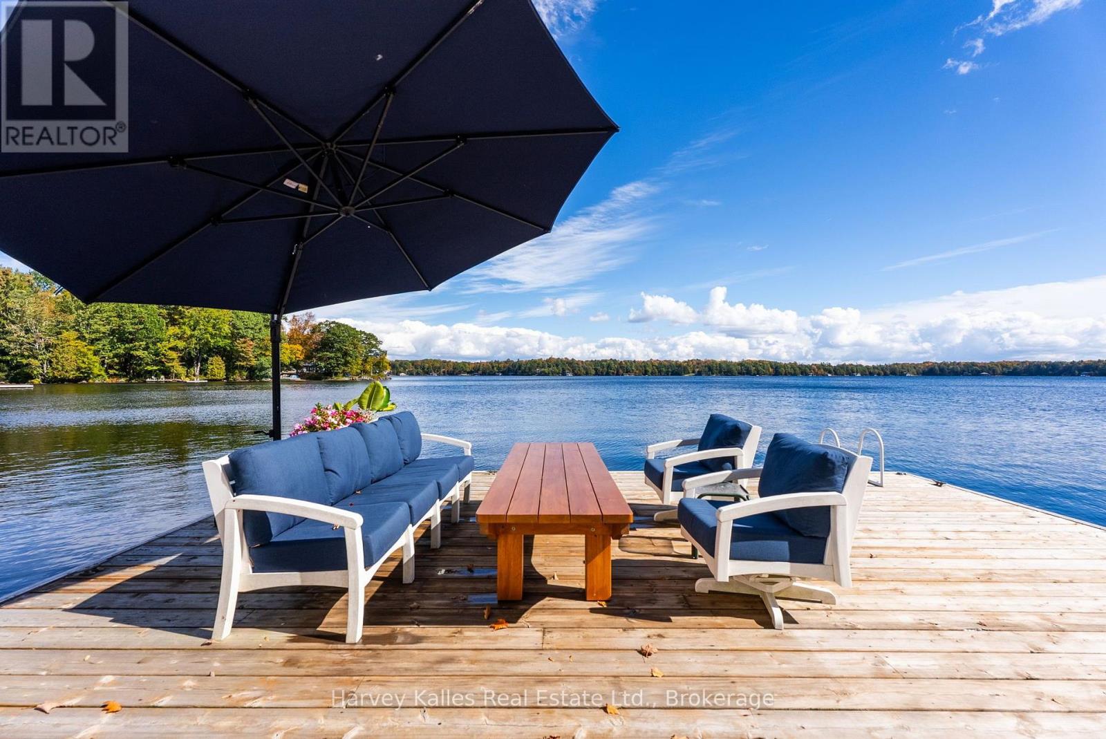 1 - 1246 Dudley Road, Muskoka Lakes, Ontario  P0C 1A0 - Photo 41 - X13860420