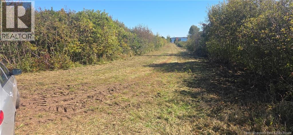 Lot Route 535, Cocagne, New Brunswick  E4R 6B1 - Photo 8 - NB139385