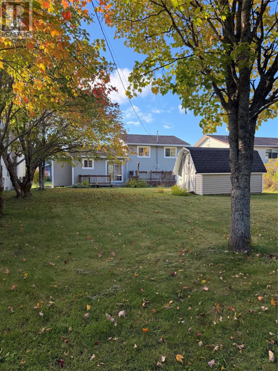7 Scott Place, Gander — photo 26