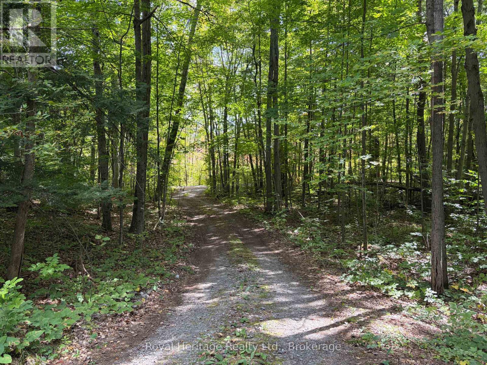 1244b Sparks Lane, Central Frontenac, Ontario  K0K 1Z0 - Photo 19 - X13793932
