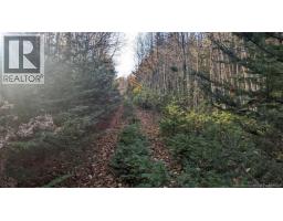 Old Great Road, Hopewell Cape, New Brunswick
