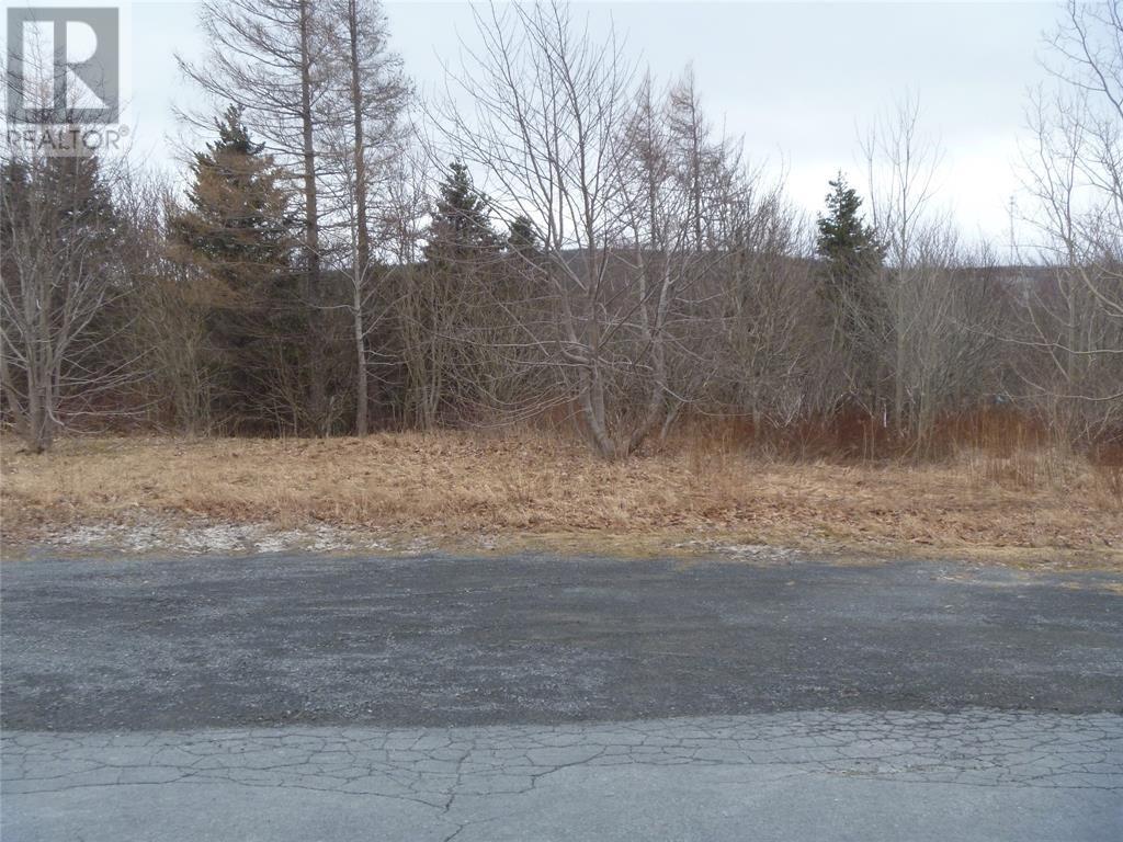 15 Powell Drive, Carbonear — photo 3