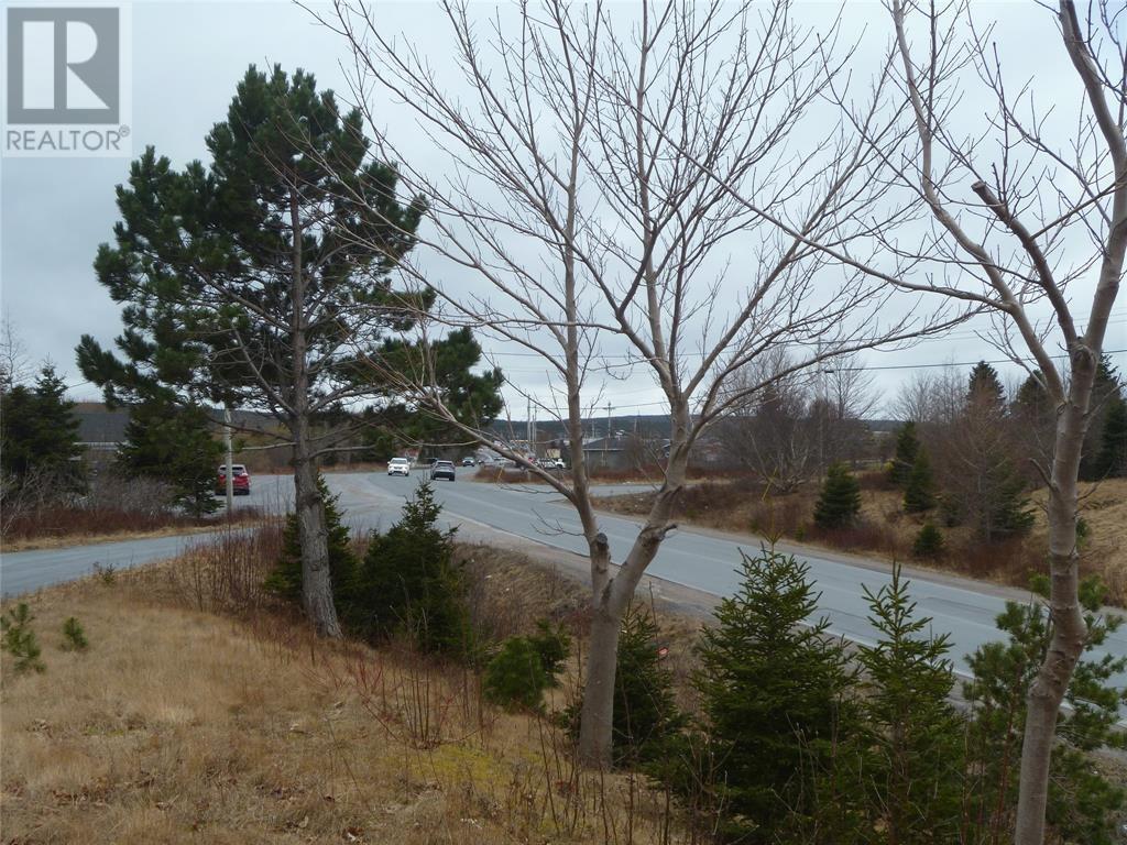 15 Powell Drive, Carbonear — photo 7