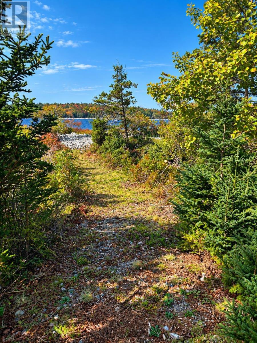 5763 Highway 3, East Jordan, Nova Scotia  B0T 1J0 - Photo 26 - 202625085