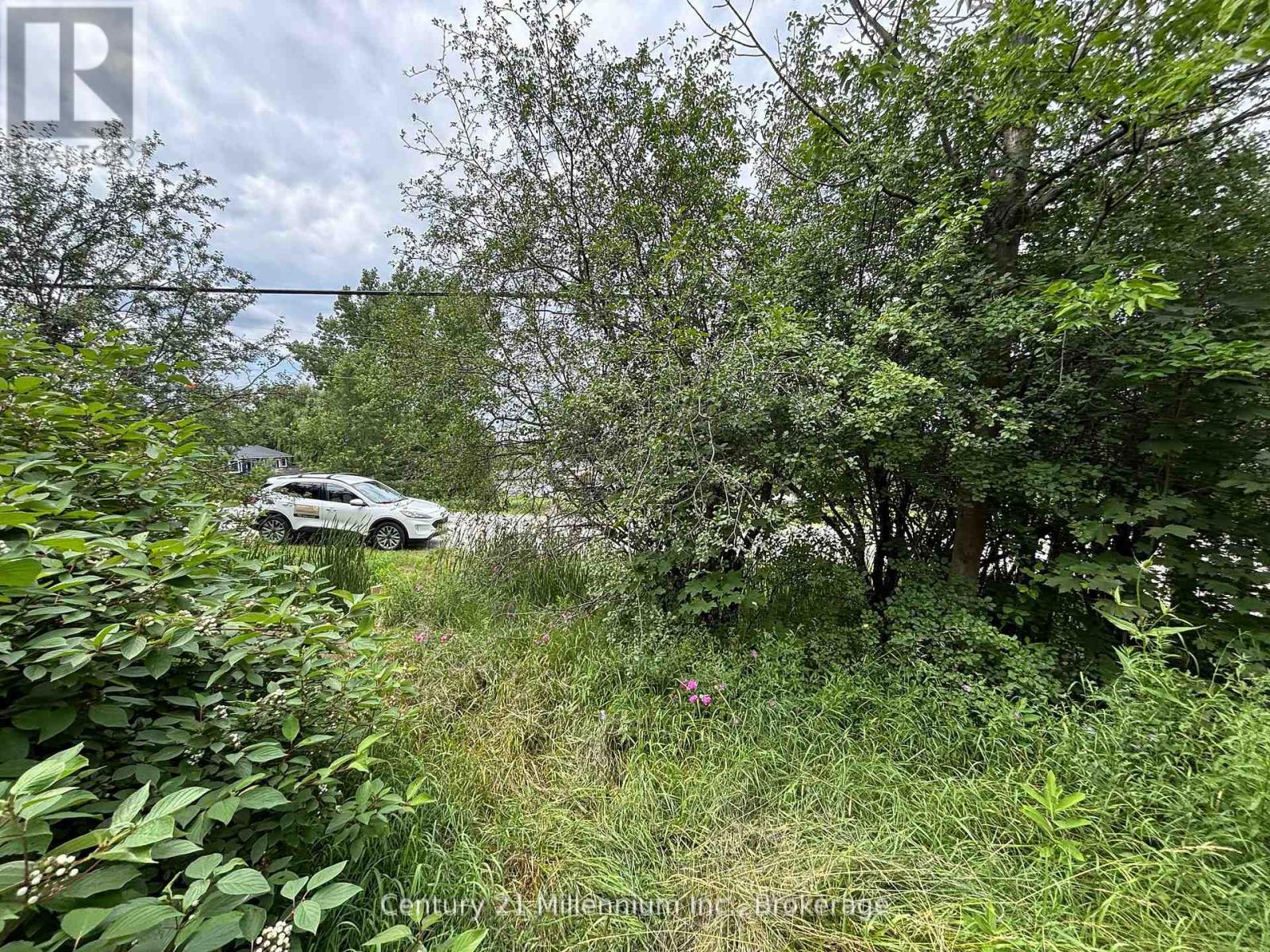 Pt Lt 10 3rd Line, Meaford, Ontario  N4L 1W7 - Photo 22 - X13860880