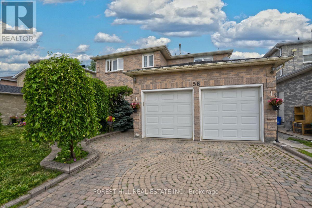 Bsmt - 56 Cooperage Crescent, Richmond Hill (Westbrook), Ontario  L4C 9L5 - Photo 13 - N13861052