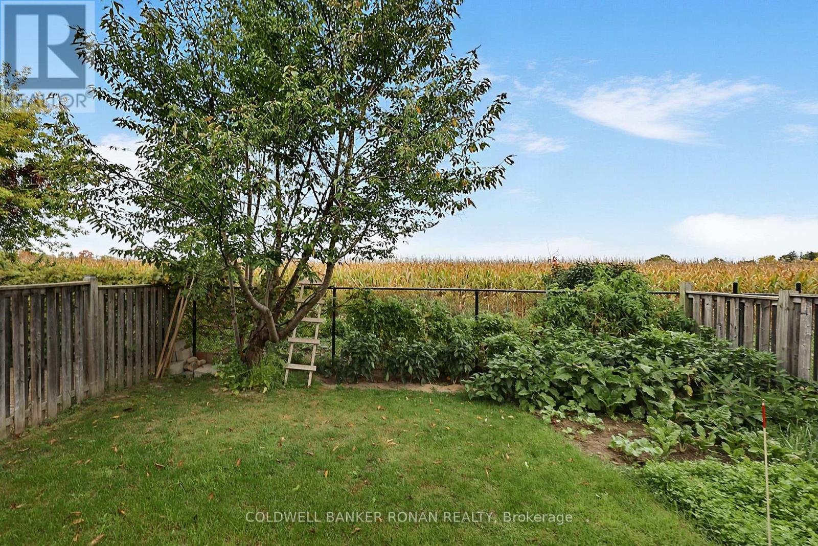 76 John W Taylor Avenue, New Tecumseth, Ontario  L9R 0C9 - Photo 34 - N13861148