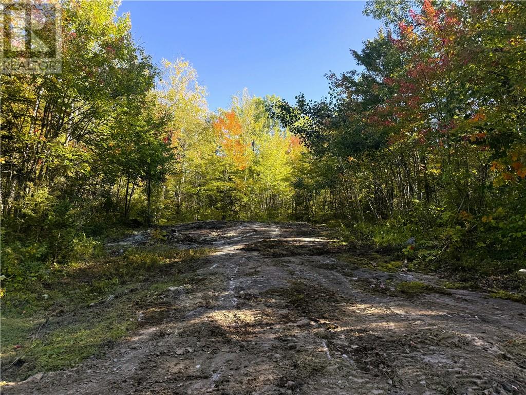 529 Griffith Road, Warren, Ontario  P0H 2N0 - Photo 16 - 2130766