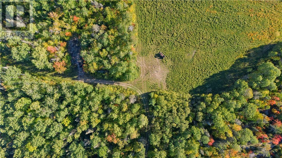 529 Griffith Road, Warren, Ontario  P0H 2N0 - Photo 9 - 2130766