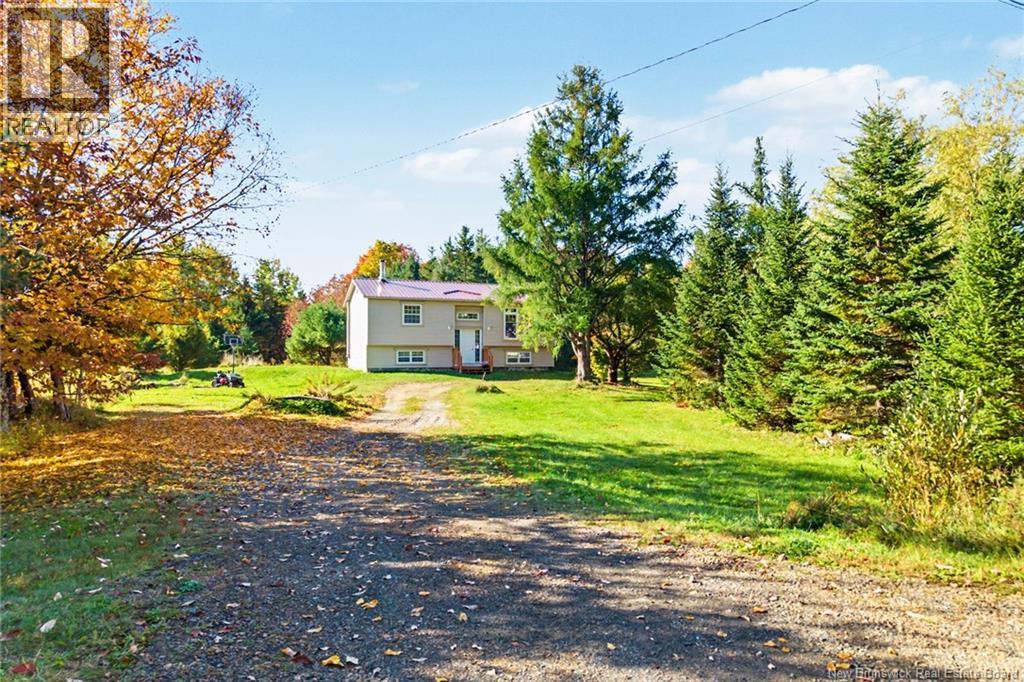 2631 Route 104 Middle Hainesville New Brunswick Canada E6E1G8 3
