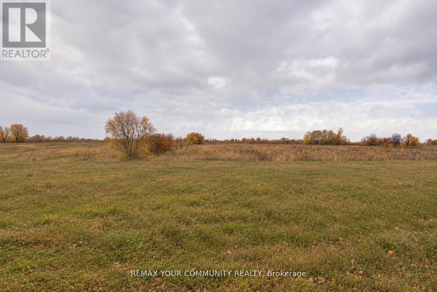 16 Don Hadden Crescent, Brock, Ontario  L0C 1H0 - Photo 25 - N13850974