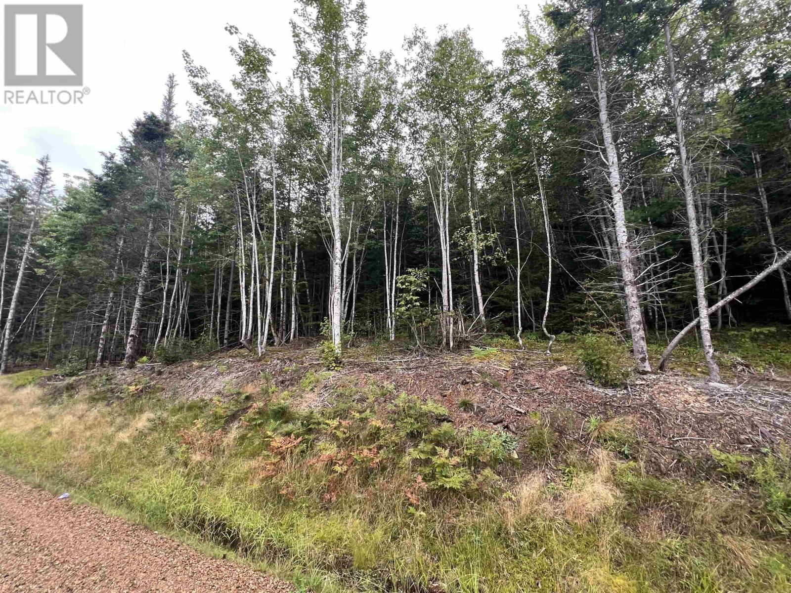 Lochiel Lake Road, South Lochaber, Nova Scotia  B2G 2L3 - Photo 10 - 202625129
