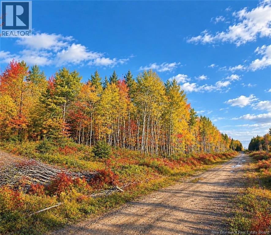 Lot 21-06 Haut Saint-Antoine Road, Saint-Antoine, New Brunswick  E4V 3B3 - Photo 2 - NB134221