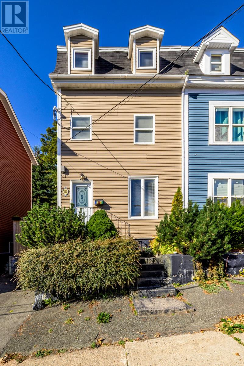 133 Patrick Street, ST JOHNS — photo 3